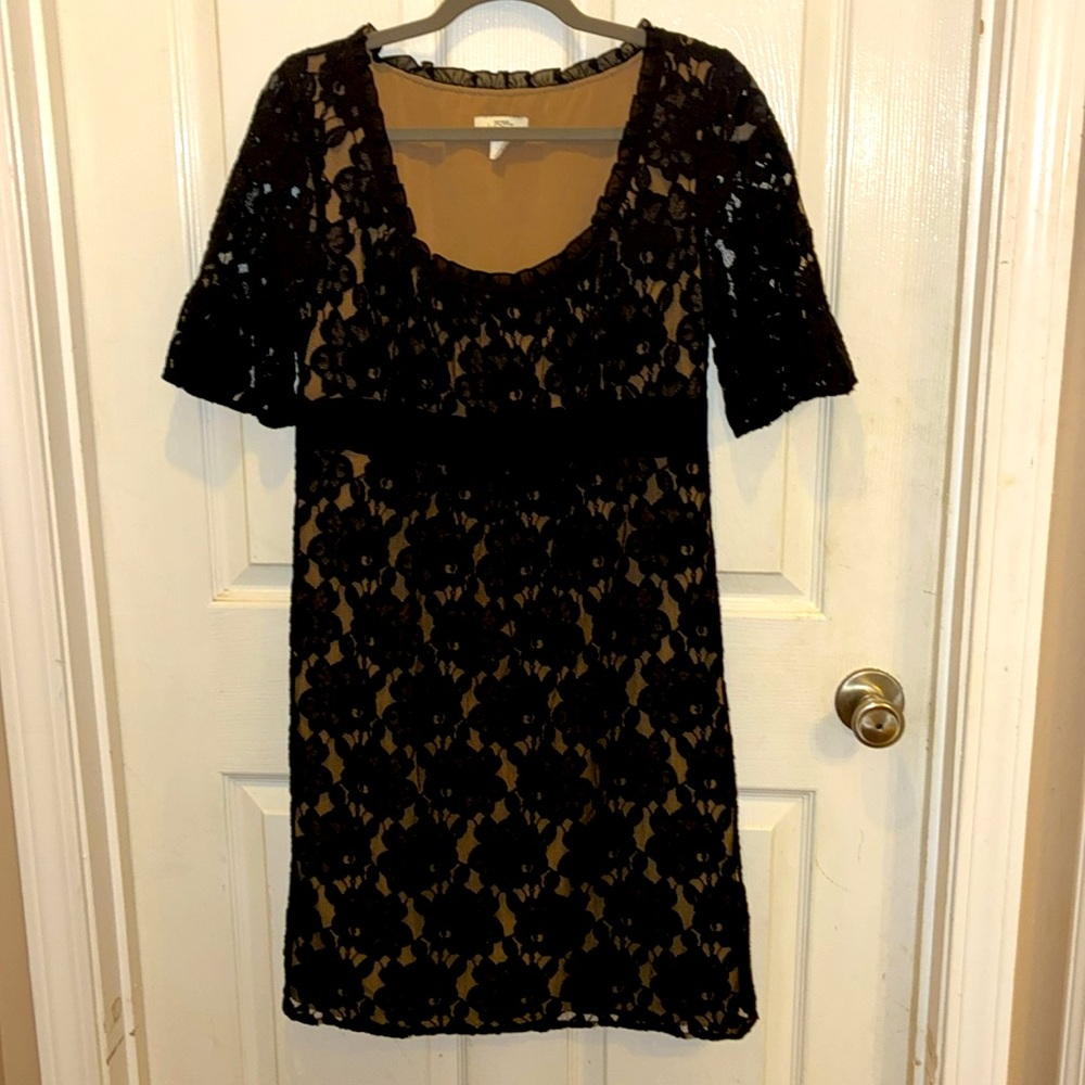 Ann Taylor Loft size 6 Black lace short Sleeve Dress